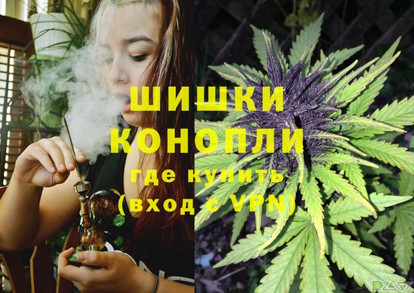 прущие крисы Аркадак