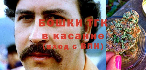 экстази Арсеньев