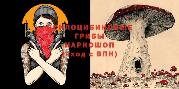 дмт Армянск