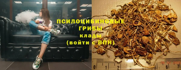 дмт Армянск